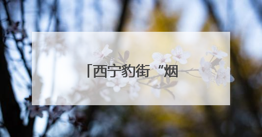 西宁豹街“烟火气” 燃动城市“夜未央”