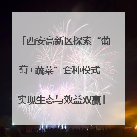 西安高新区探索“葡萄+蔬菜”套种模式 实现生态与效益双赢