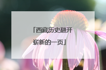 西藏历史翻开崭新的一页