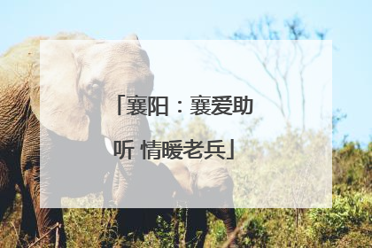 襄阳：襄爱助听 情暖老兵