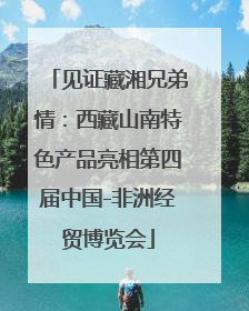 见证藏湘兄弟情：西藏山南特色产品亮相第四届中国-非洲经贸博览会