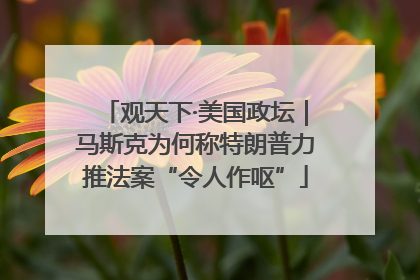 观天下·美国政坛｜马斯克为何称特朗普力推法案“令人作呕”