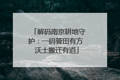 解码南京耕地守护：一码管田有方 沃土搬迁有道