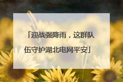 迎战强降雨，这群队伍守护湖北电网平安