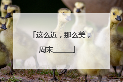这么近，那么美，周末______