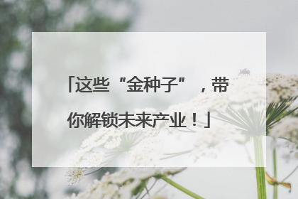 这些“金种子”，带你解锁未来产业！
