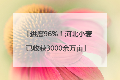 进度96%！河北小麦已收获3000余万亩