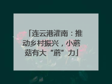 连云港灌南：推动乡村振兴，小蘑菇有大“蘑”力