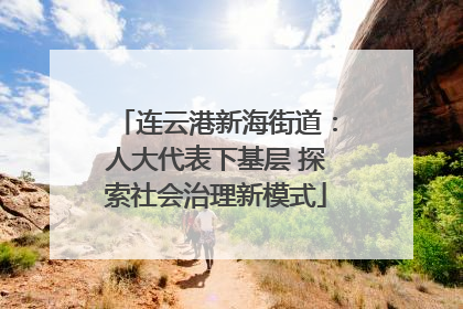 连云港新海街道：人大代表下基层 探索社会治理新模式