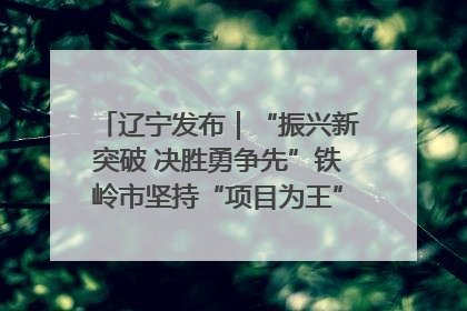 辽宁发布｜“振兴新突破 决胜勇争先”铁岭市坚持“项目为王”推进经济高质量发展