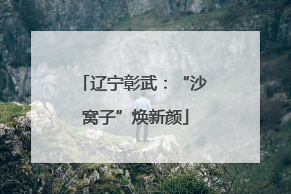辽宁彰武：“沙窝子”焕新颜