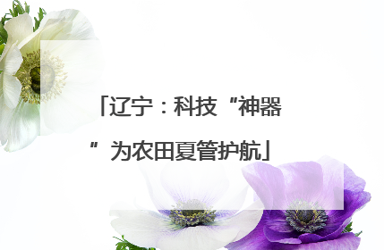 辽宁：科技“神器”为农田夏管护航