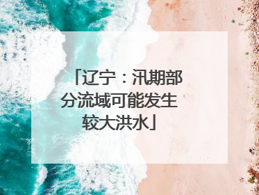 辽宁：汛期部分流域可能发生较大洪水