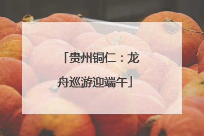 贵州铜仁：龙舟巡游迎端午