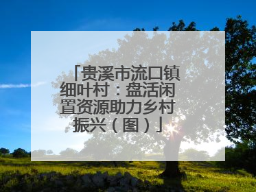 贵溪市流口镇细叶村：盘活闲置资源助力乡村振兴（图）