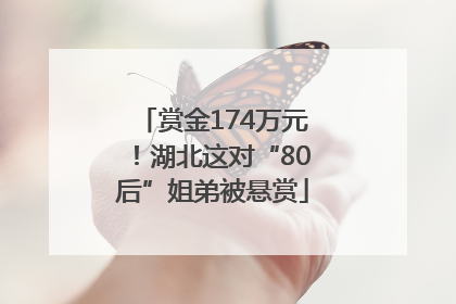 赏金174万元！湖北这对“80后”姐弟被悬赏