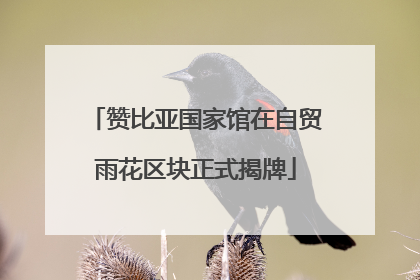赞比亚国家馆在自贸雨花区块正式揭牌