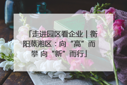 走进园区看企业｜衡阳蒸湘区：向“高”而攀 向“新”而行