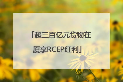 超三百亿元货物在厦享RCEP红利