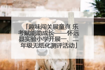 趣味闯关展童真 乐考赋能助成长——怀远县实验小学开展一、二年级无纸化测评活动