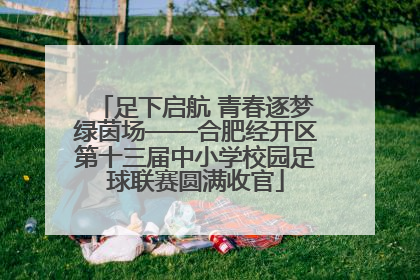 足下启航 青春逐梦绿茵场——合肥经开区第十三届中小学校园足球联赛圆满收官