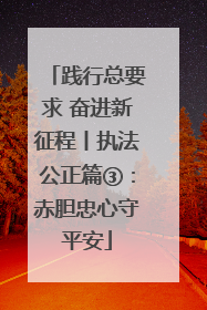 践行总要求 奋进新征程丨执法公正篇③：赤胆忠心守平安