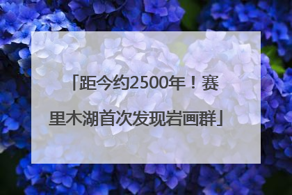 距今约2500年！赛里木湖首次发现岩画群