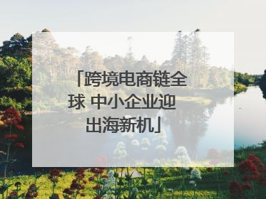 跨境电商链全球 中小企业迎出海新机