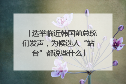 选举临近韩国前总统们发声，为候选人“站台”都说些什么