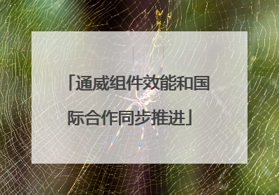 通威组件效能和国际合作同步推进