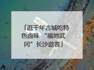 逛千年古城吃特色卤味 “福地武冈”长沙邀客