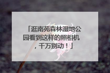 逛南苑森林湿地公园看到这样的照相机，千万别动！