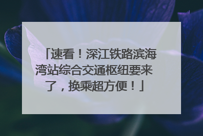 速看！深江铁路滨海湾站综合交通枢纽要来了，换乘超方便！
