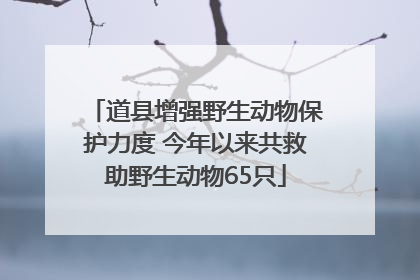 道县增强野生动物保护力度 今年以来共救助野生动物65只