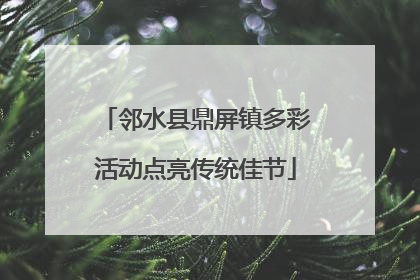 邻水县鼎屏镇多彩活动点亮传统佳节