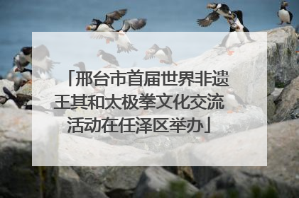 邢台市首届世界非遗王其和太极拳文化交流活动在任泽区举办
