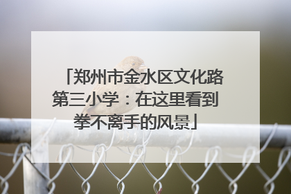 郑州市金水区文化路第三小学：在这里看到拳不离手的风景