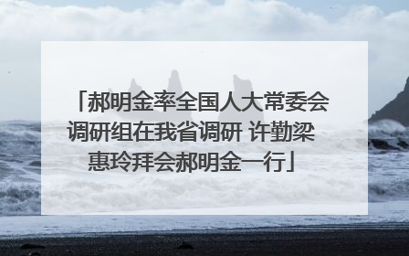 郝明金率全国人大常委会调研组在我省调研 许勤梁惠玲拜会郝明金一行