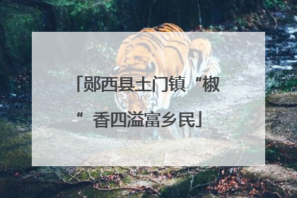郧西县土门镇“椒”香四溢富乡民
