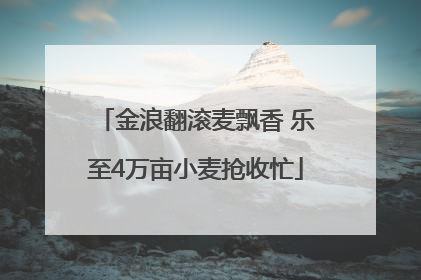 金浪翻滚麦飘香 乐至4万亩小麦抢收忙