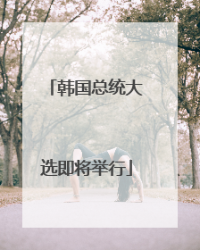 韩国总统大选即将举行