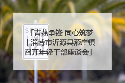 青燕争锋 同心筑梦丨淄博市沂源县燕崖镇召开年轻干部座谈会