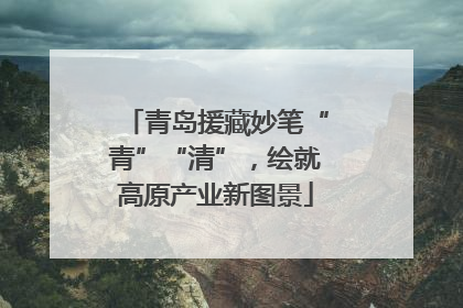 青岛援藏妙笔“青”“清”，绘就高原产业新图景