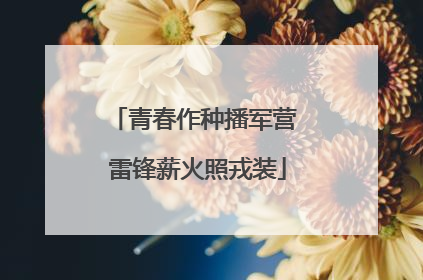 青春作种播军营 雷锋薪火照戎装