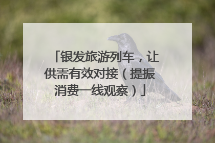 银发旅游列车，让供需有效对接（提振消费一线观察）