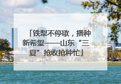 铁犁不停歇，播种新希望——山东“三夏”抢收抢种忙