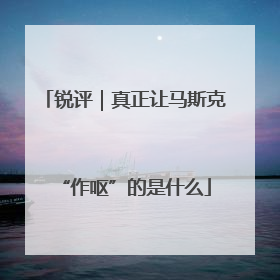 锐评｜真正让马斯克“作呕”的是什么