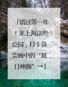 错过等一年！来上海这些公园，打卡莫奈画中的“夏日神颜”→