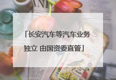 长安汽车等汽车业务独立 由国资委直管