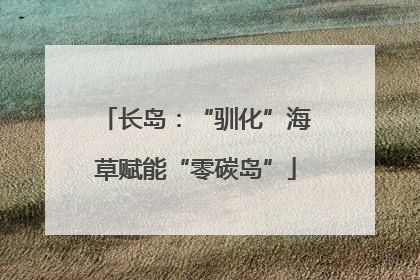 长岛：“驯化”海草赋能“零碳岛”